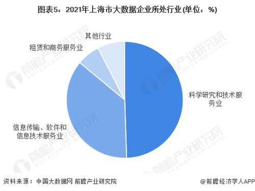 2022年上海市大數(shù)據(jù)行業(yè)市場(chǎng)現(xiàn)狀及區(qū)域格局分析 優(yōu)質(zhì)頭部企業(yè)主要集中在科學(xué)研究和技術(shù)服務(wù)業(yè)